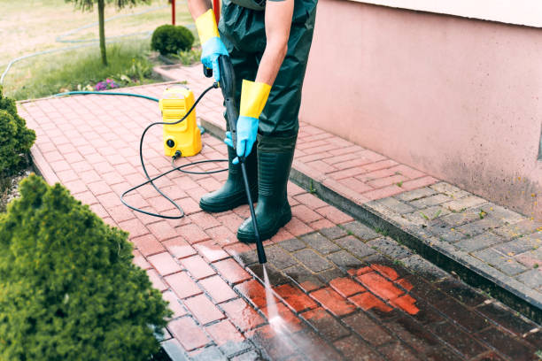 Best Building Exterior Washing  in Donna, TX